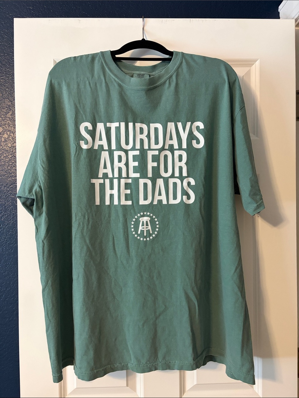Barstool Dad Graphic Tee in Sage Green - Short Sleeve